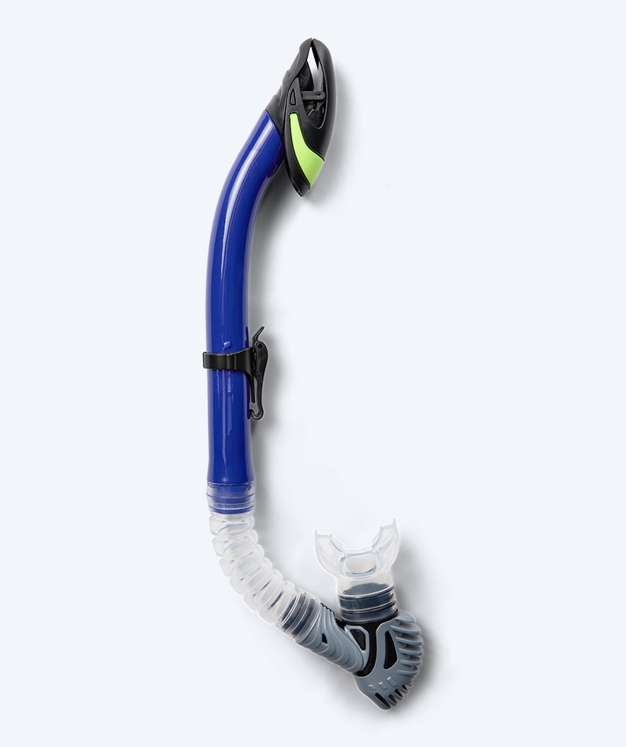 Watery Schnorchel für Erwachsene - Leach Pro - Blau/gelb